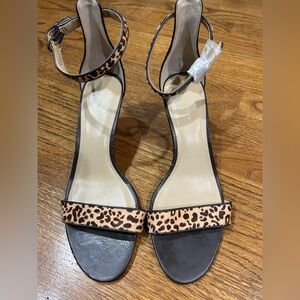 Ann Taylor Leopard Print Heels